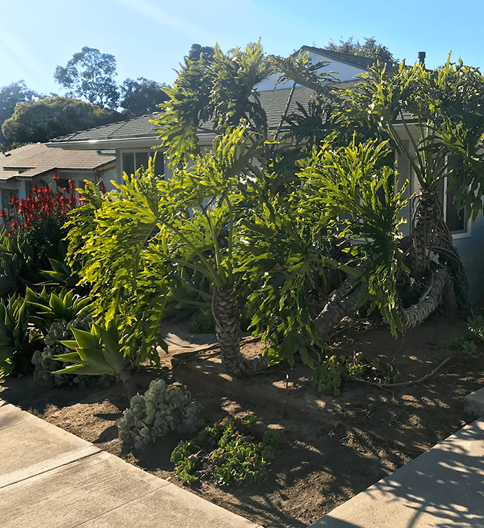 821 E Figueroa Exterior